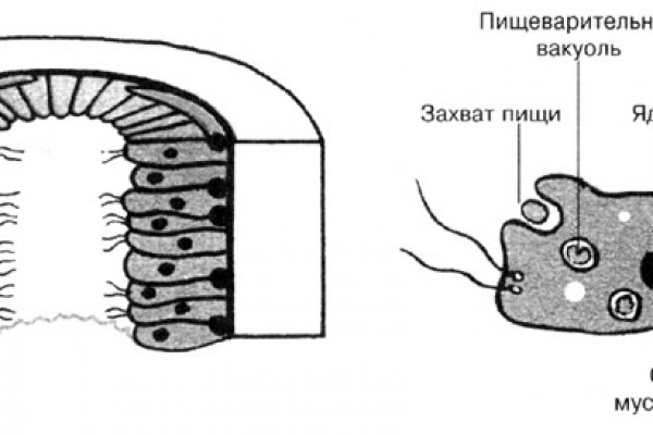 Кракен зеркало krk store com