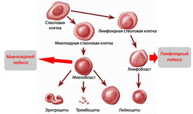 Как вернуть аккаунт кракен