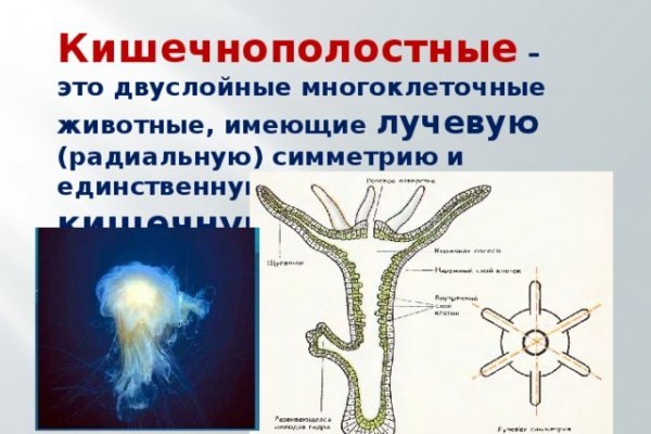 Кракен пользователь не найден что